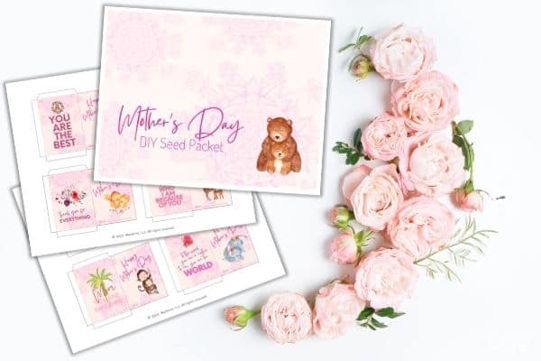 Mother's Day Seed Packet Mockup