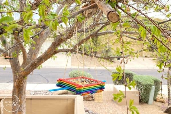 Popsicle Stick Bird Feeder (1)