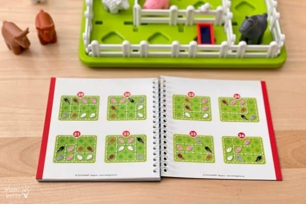 Smart Games Set