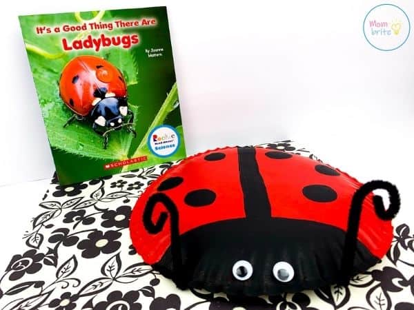 paper plate ladybug