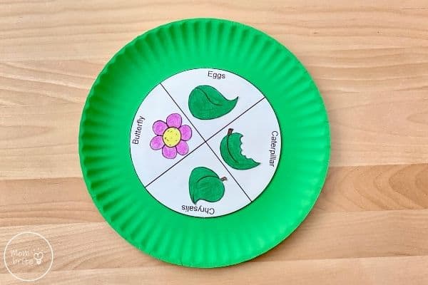 Butterfly Life Cycle Craft Glue Leaves and Flowers on Inner Circle