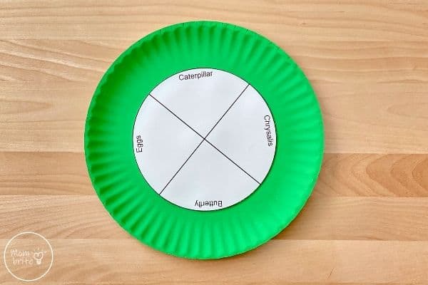 Butterfly Life Cycle Craft Glue Template
