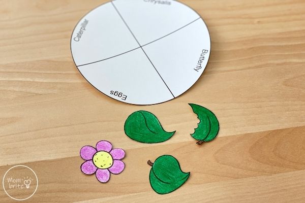Butterfly Life Cycle Craft Template Pieces