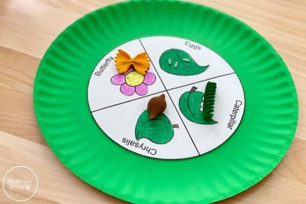 15+ Adorable Butterfly Crafts for Kids Butterfly Life Cycle Craft with Pasta