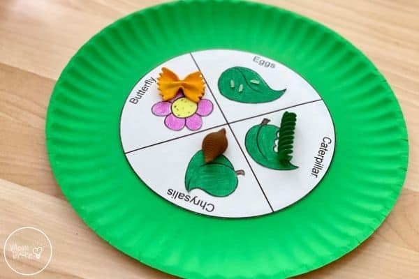 Butterfly Life Cycle Craft with Pasta