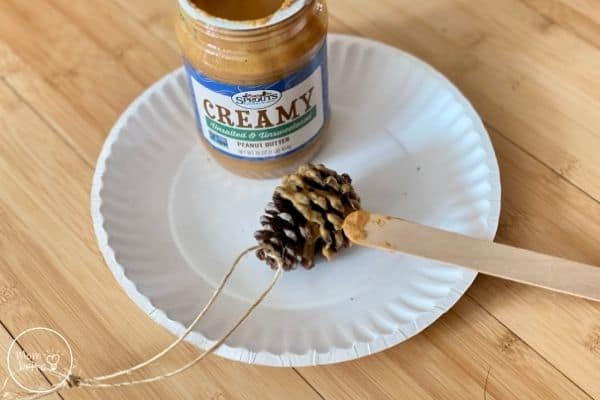 Pinecone Bird Feeder Spread Peanut Butter