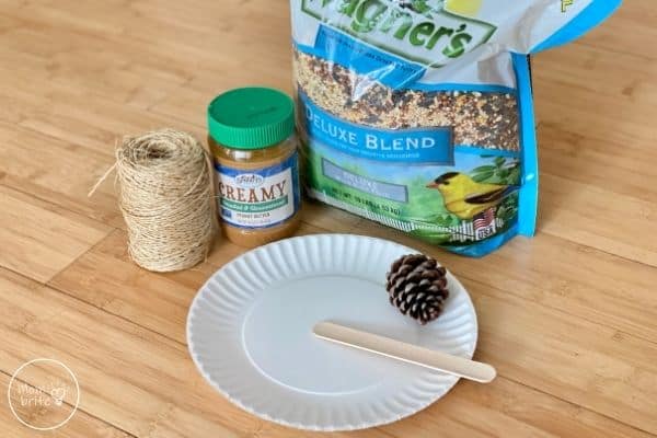 Pinecone Bird Feeder Supplies