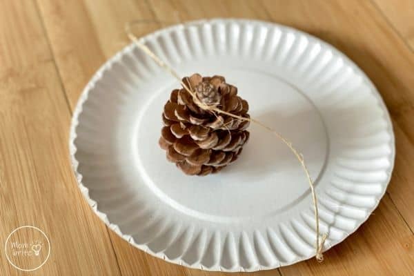 Pinecone Bird Feeder Tie Knot with Twine