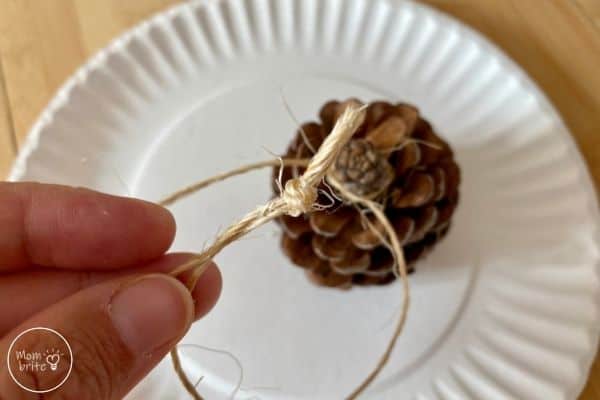 Pinecone Bird Feeder Tie Knot