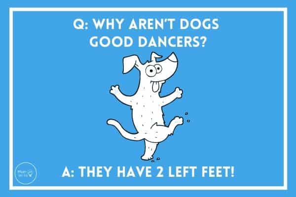 147 Funny and Silly Jokes for Kids | Mombrite 147 Funny and Silly Jokes for Kids | Mombrite
