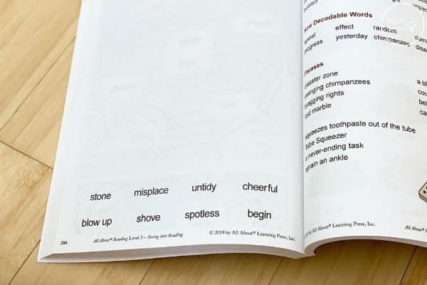 Avoid the Rotten Apple: Game for Sight Word Reading (Level 3)