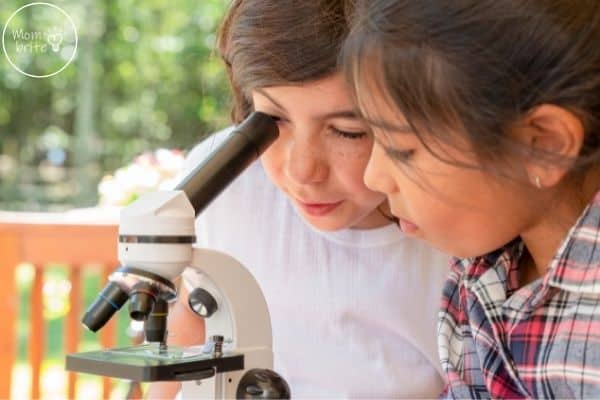 Best Microscope for Kids