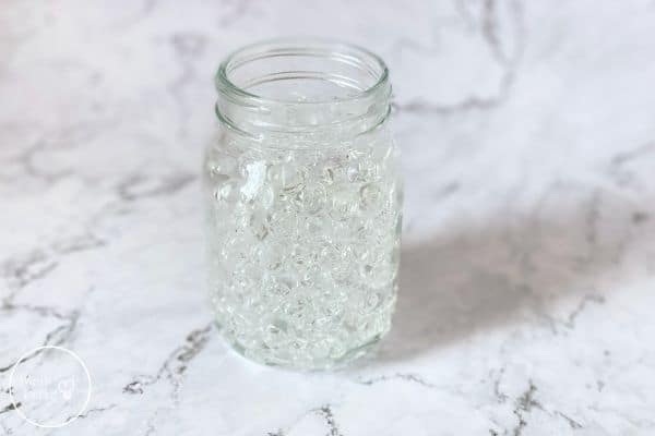 How to Sprout Seeds in a Jar Pour Water Beads in Jar