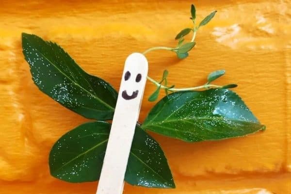 15+ Adorable Butterfly Crafts for Kids Lolly Stick Leaf Butterfly Craft