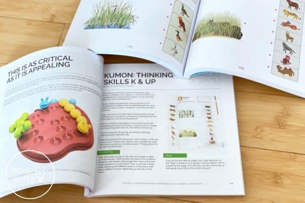 Timberdoodle Kindergarten Custom Curriculum Kit: Unboxing and Review Timberdoodle Kindergarten Handbook