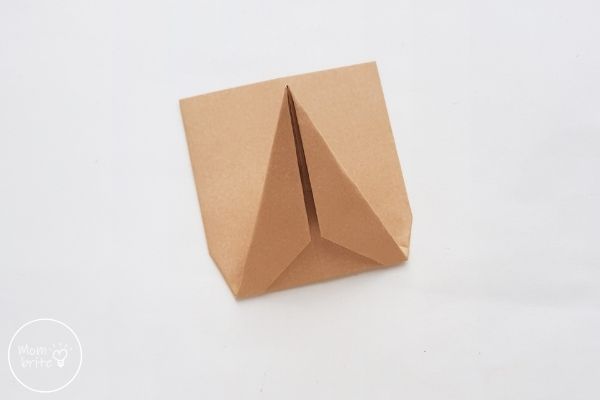 Origami Turkey Fold Pattern in Half