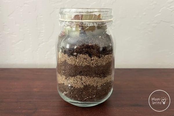 Worm Jar at Home Science Experiment