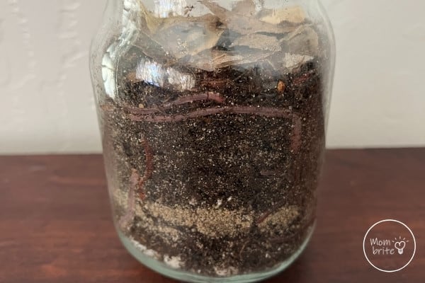 Worms Mixing Layers in Jar