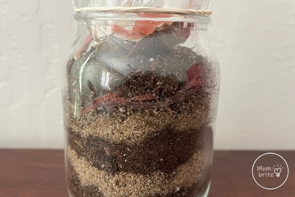 Worms in a Jar