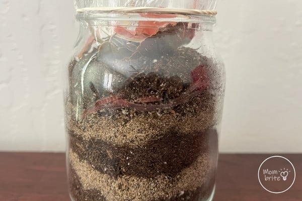 Fun Plant Science Experiments for Kids Worms in a Jar
