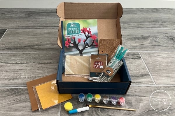 Doodle Crate: Art Subscription Box for Kids, Ages 9-16