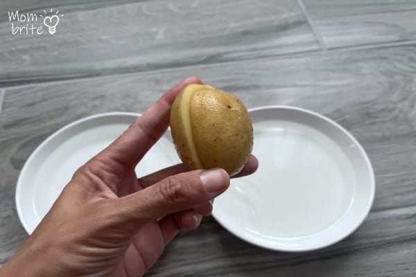 Potato Dehydration Experiment Results