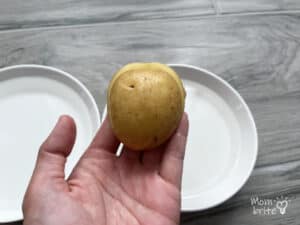 Potato Hydration Experiment Results