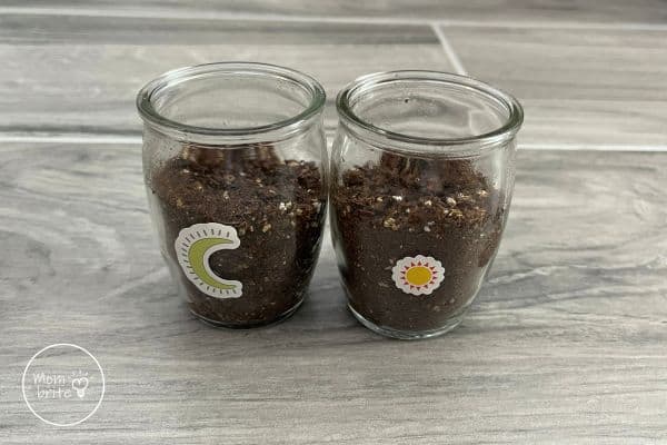 Label the Cups with Seeds