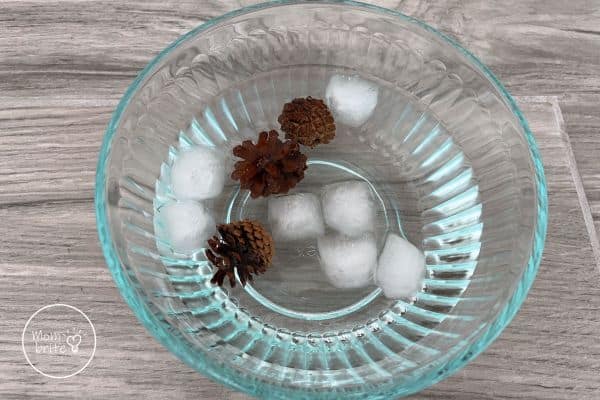 Small Pine Cones in Cold Water