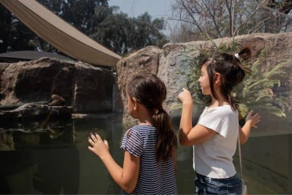 A trip to the zoo is one of the best fun summer activities for preschoolers