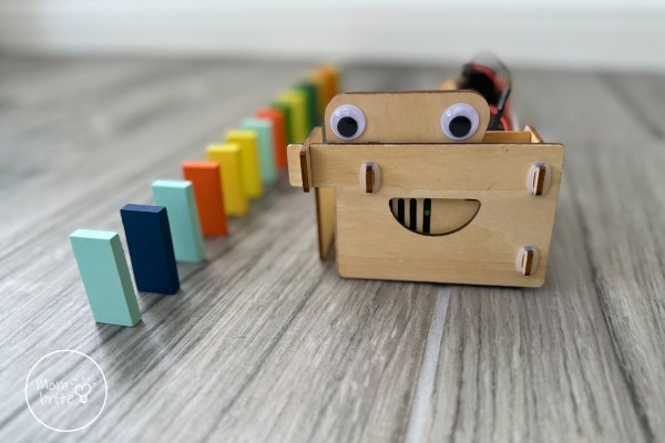 KiwiCo Summer Adventure Series Domino Machine