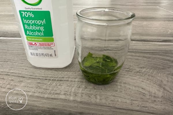 Pour Rubbing Alcohol to Cover Leaves