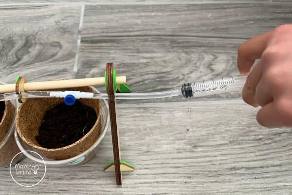 Fun Plant Science Experiments for Kids Drip Irrigation Siphon