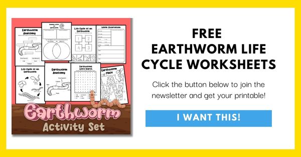 Free Earthworm Life Cycle Worksheets