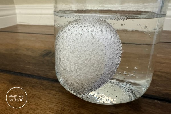 Egg in Vinegar and Tonic Water