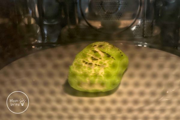 Frankenstein Marshmallow Peep Explanding in Microwave