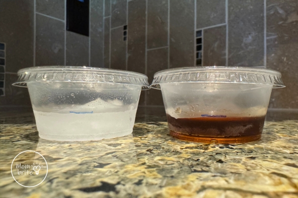 Frozen Frog Experiment Frozen Water and Syrup