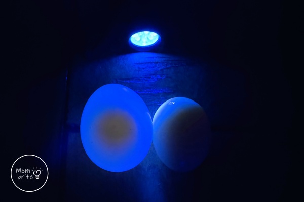 Ghost Egg Glows with UV Light vs Regular Egg