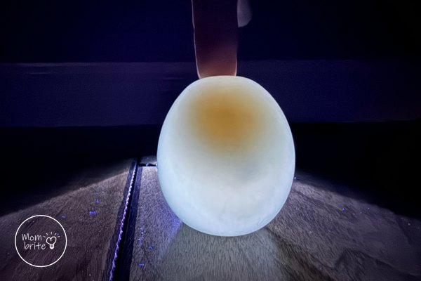 Ghost Egg Under Regular Light
