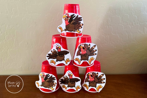 Stack Turkey Target Cups for Shooting