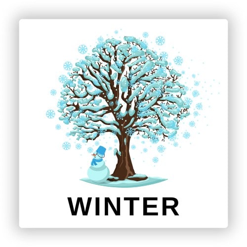Winter Logo