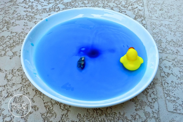 Sound Wave Water Experiment for Kids