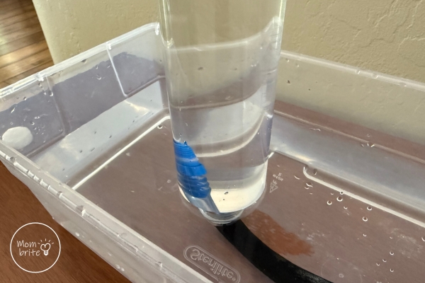 Lung Capacity Experiment Insert Flexible Tube