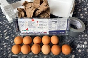 Ultimate Egg Drop Challenge Guide: STEM Activity for Kids - Mombrite