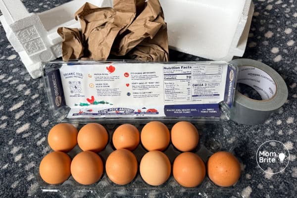 Ultimate Egg Drop Challenge Guide: STEM Activity for Kids Egg Drop Challenge Materials