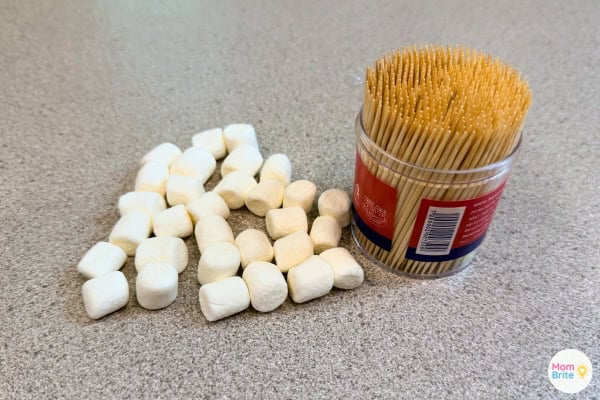Supplies laid out - mini marshmallows and toothpicks