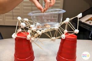 Marshmallow Bridge Challenge: Easy STEM Kids Love - Mombrite