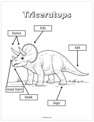 dinosaur coloring page with labeled body parts