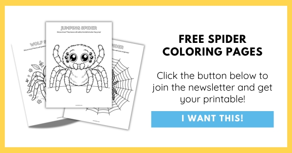 Free Spider Coloring Pages Opt-In