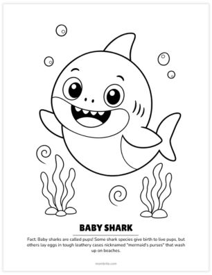 baby shark coloring page